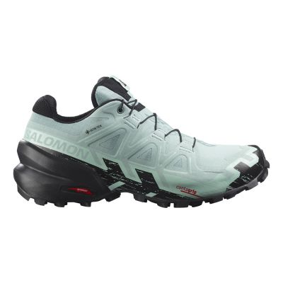 Salomon Speedcross 6 GTX W